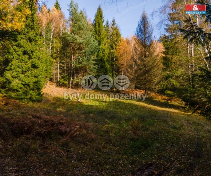 Prodej, Pastvina, Milíkov