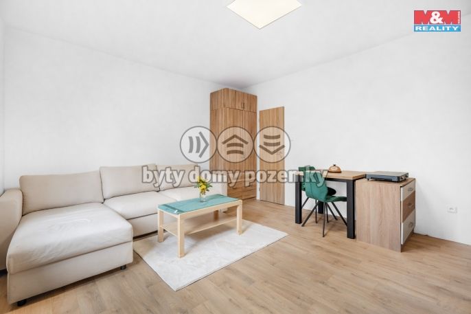 Pronájem, Byt 1+kk, Plazy