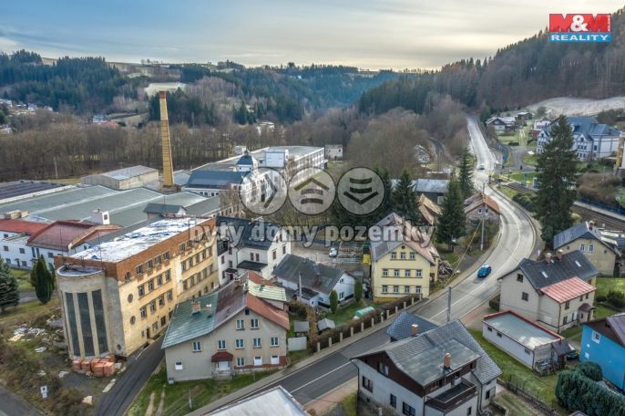 Prodej, Rodinný dům, Plavy