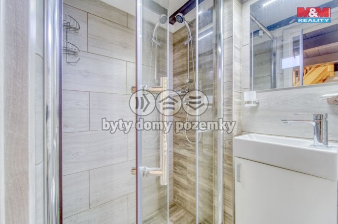 Prodej, Chata, Staňkov