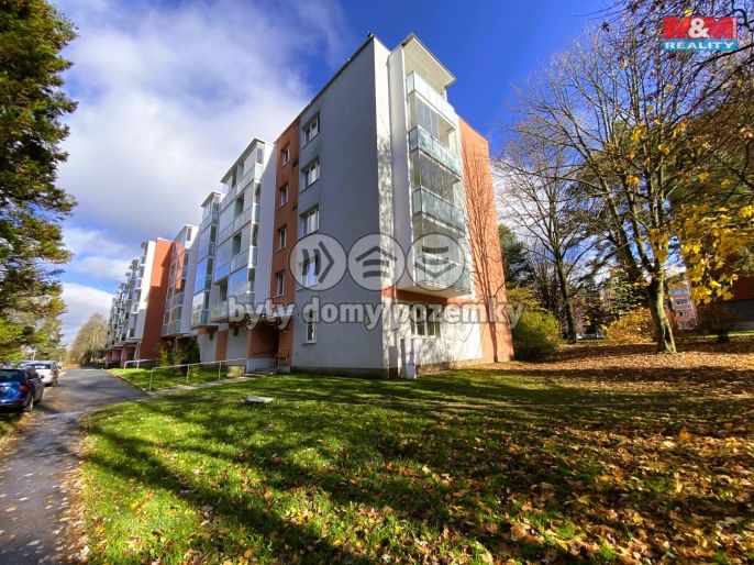 Pronájem, Byt 2+1, Žďár nad Sázavou