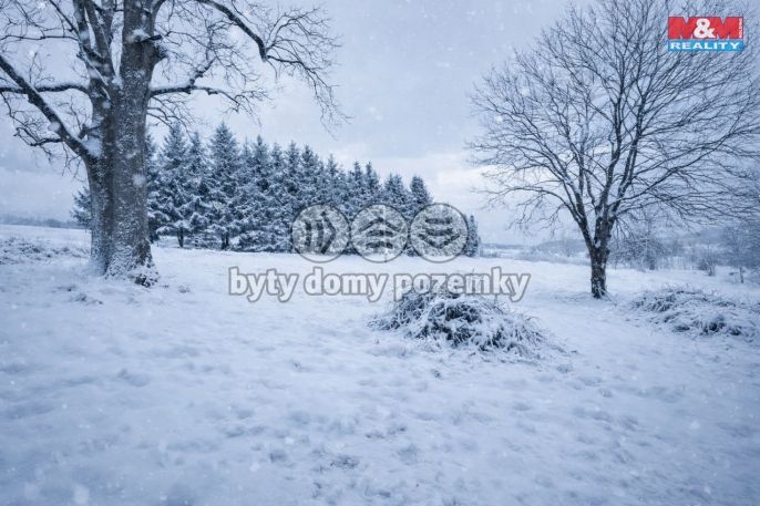 Prodej, Pozemek k bydlení, Rokytnice v Orlických horách