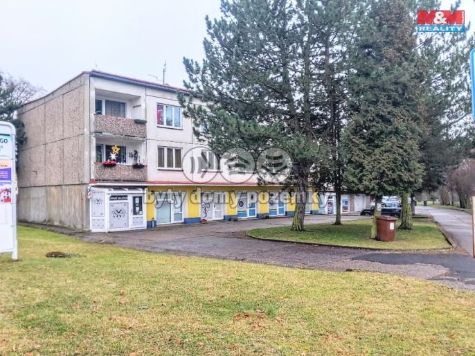 Pronájem, Byt 3+1, Ostrov