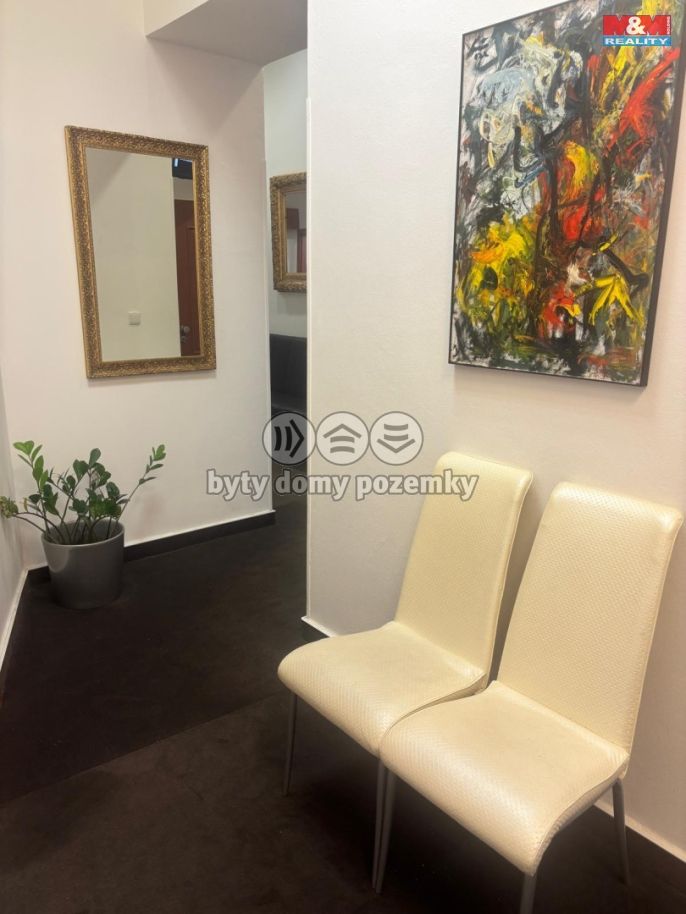 Pronájem, Ostatní, Brno