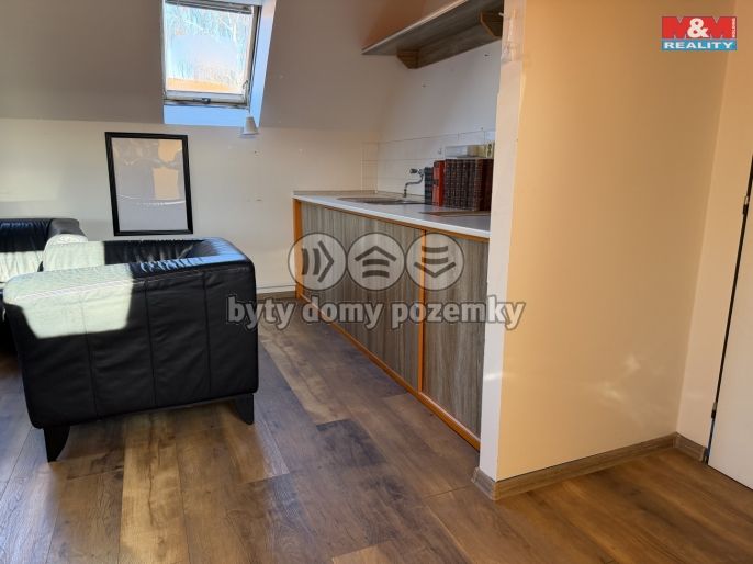 Pronájem, Byt 1+1, Staňkovice
