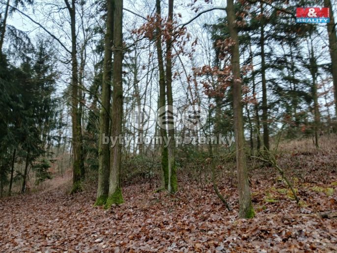 Prodej, Les, Krašlovice