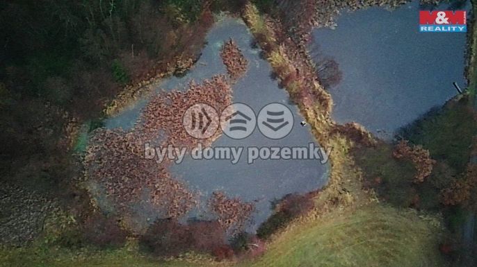 Prodej, Vodní plocha, Velká Losenice