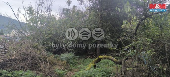 Prodej, Zahrada, Obrnice