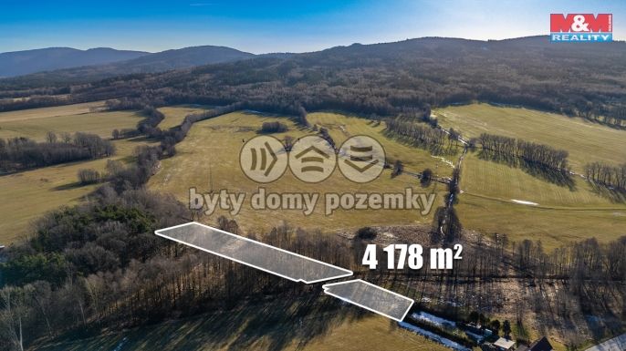 Prodej, Louka, Dětřichov