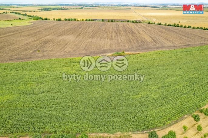 Prodej, Pole, Žatčany