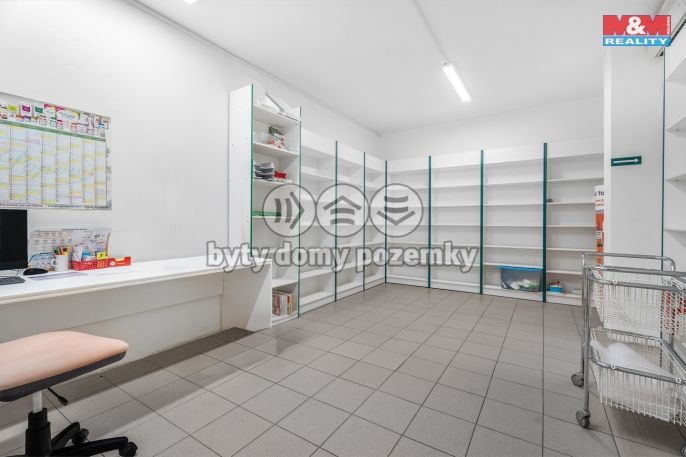 Pronájem, Ostatní, Ústí nad Labem