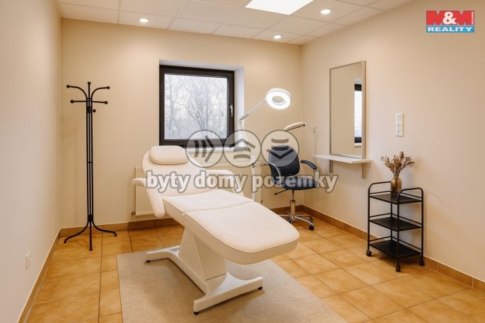 Pronájem, Obchod a služby, Kladno