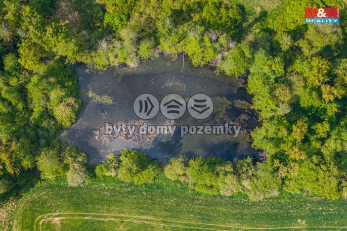 Prodej, Vodní plocha, Obory