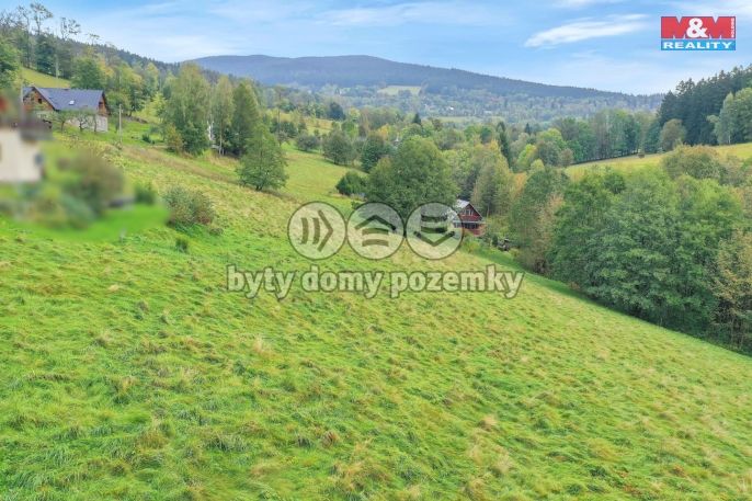 Prodej, Louka, Rokytnice nad Jizerou