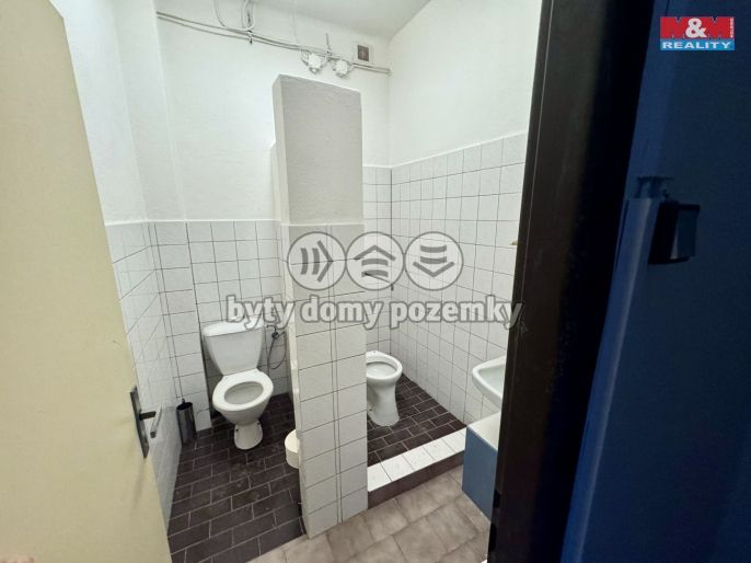 Pronájem, Výrobní objekt, Hostomice