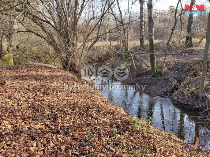 Prodej, Zemědělská usedlost, Třebovle