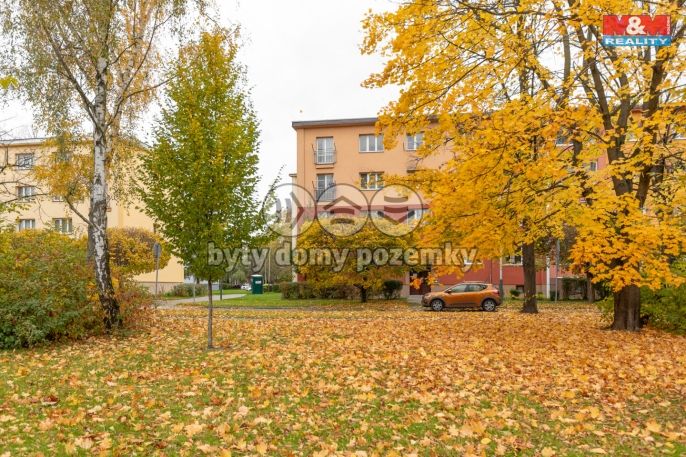 Prodej, Byt 2+1, Ostrava