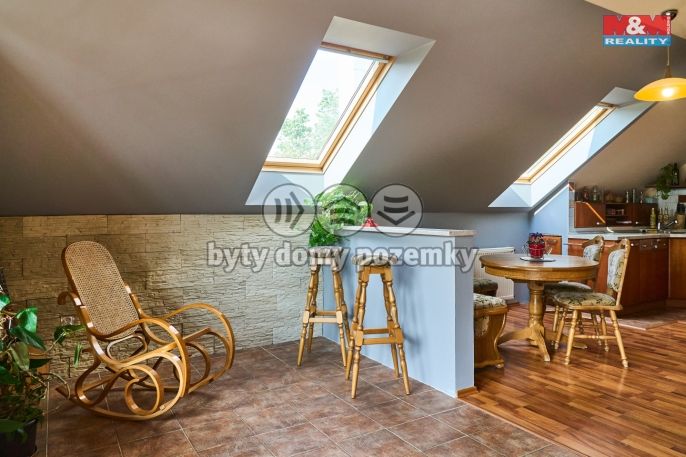 Prodej, Hotel, penzion, Nová Ves nad Nisou