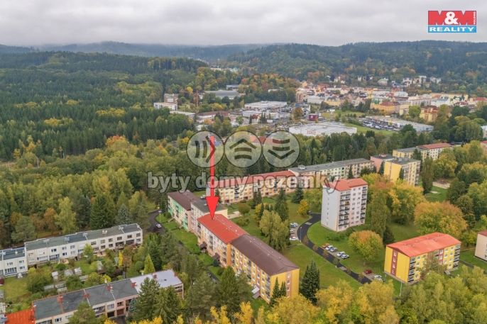 Prodej, Byt 2+1, Mariánské Lázně