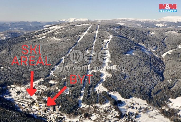 Prodej, Byt 1+1, Janské Lázně