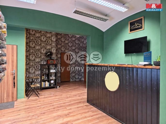 Pronájem, Obchod a služby, Teplice