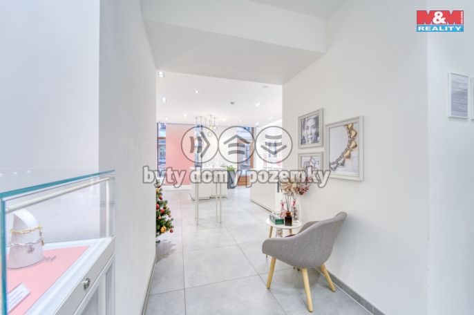 Pronájem, Obchod a služby, Plzeň