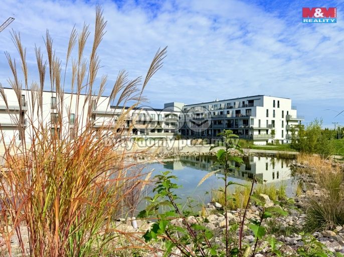 Pronájem, Kancelářský prostor, Horoměřice