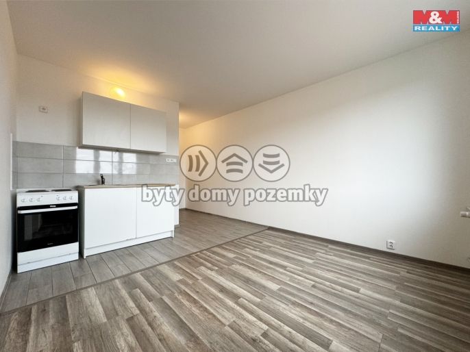 Pronájem, Byt 1+1, Horní Slavkov