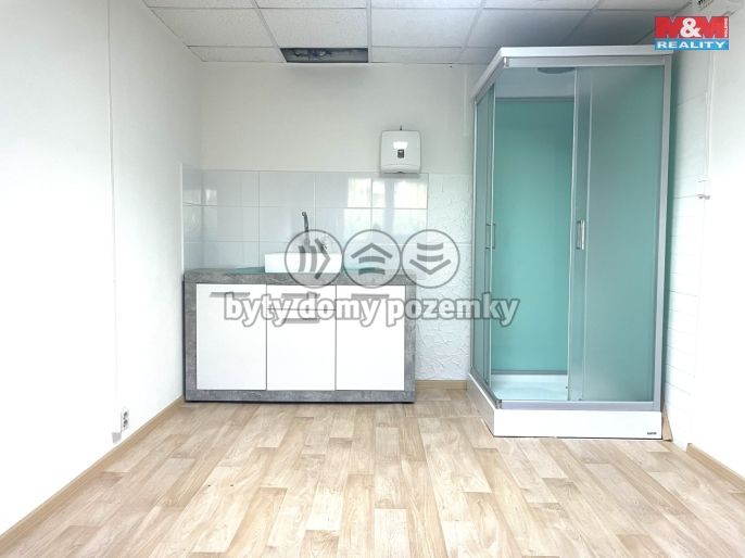 Pronájem, Ostatní, Most