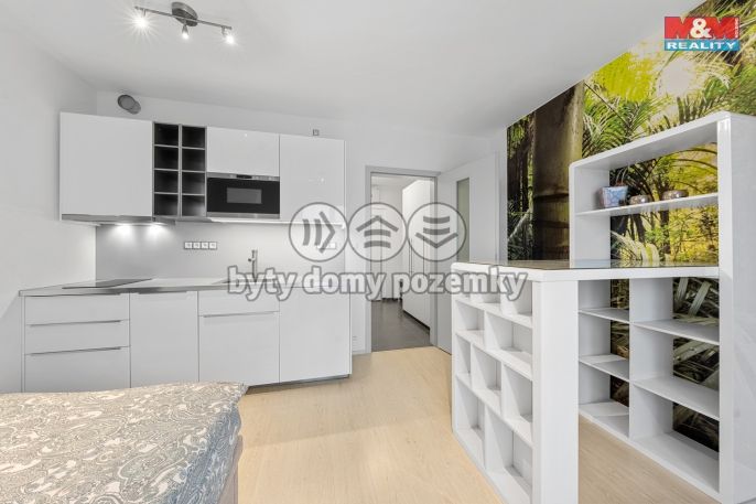 Prodej, Byt 1+kk, Praha