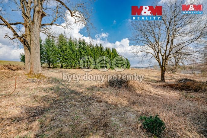 Prodej, Pozemek k bydlení, Rokytnice v Orlických horách