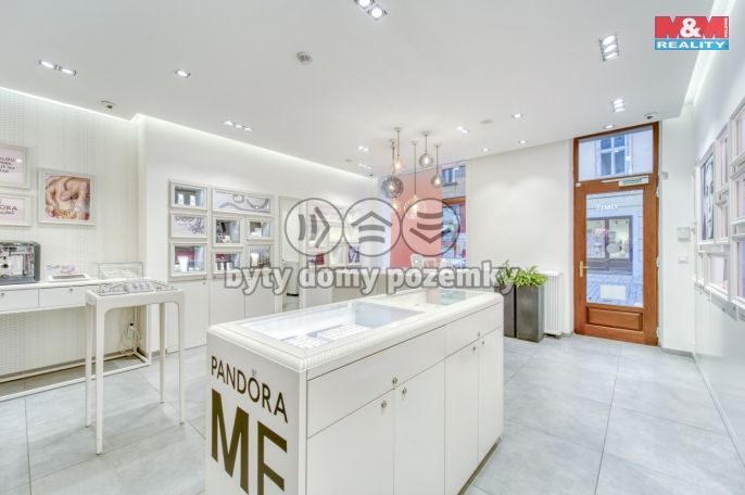 Pronájem, Obchod a služby, Plzeň