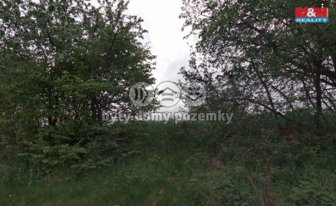 Prodej, Ostatní, Červená Lhota