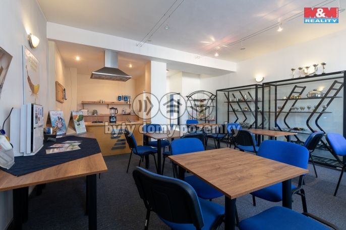 Prodej, Kancelářský prostor, Bruntál