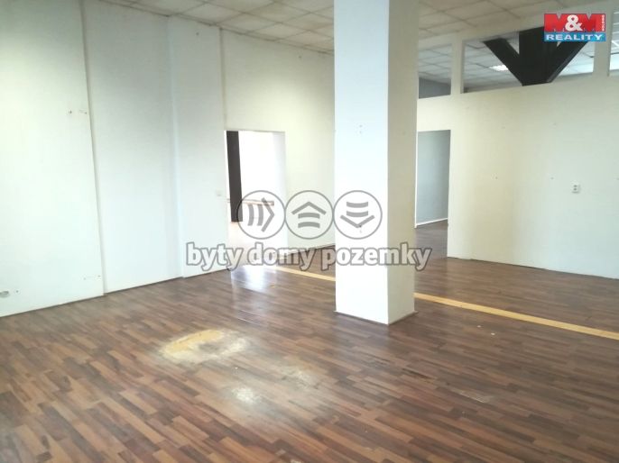 Pronájem, Ostatní, Strančice