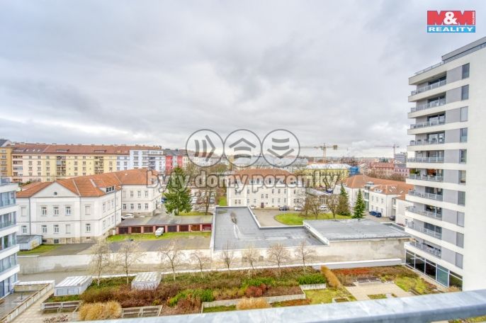 Pronájem, Byt 3+kk, Plzeň