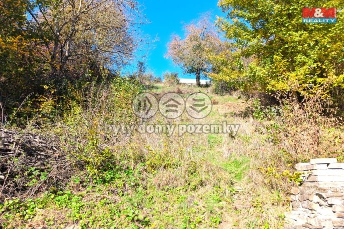 Prodej, Zahrada, Zlín