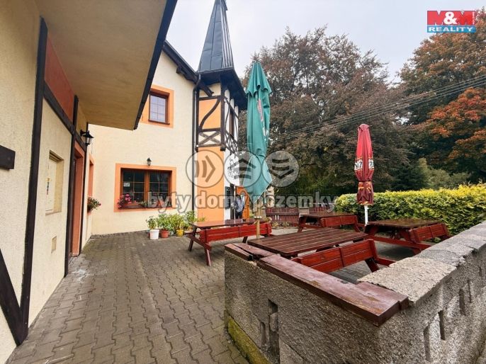 Pronájem, Hotel, penzion, Vilémov