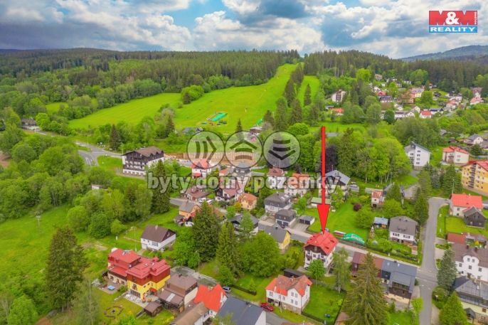 Prodej, Hotel, penzion, Železná Ruda
