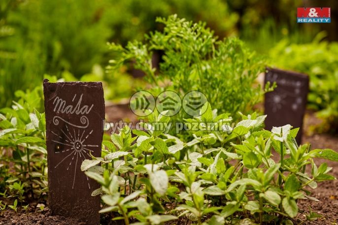 Prodej, Rodinný dům, Volfartice