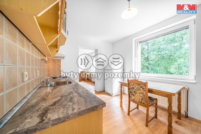 Pronájem, Byt 1+1, Praskolesy