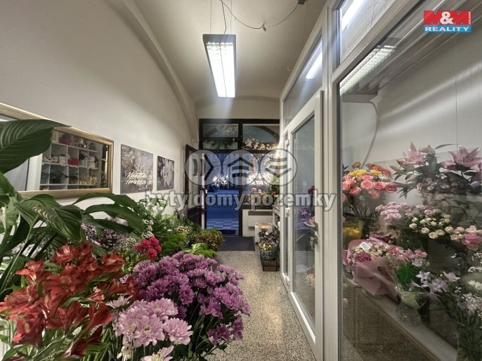 Pronájem, Obchod a služby, Praha