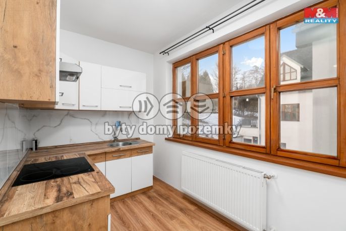 Pronájem, Byt 1+1, Chlumec