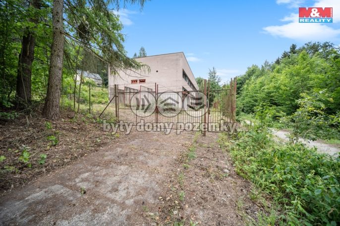 Prodej, Hotel, penzion, Havlovice