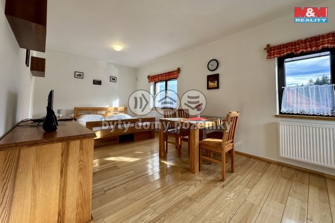 Pronájem, Byt 1+kk, Mnichov