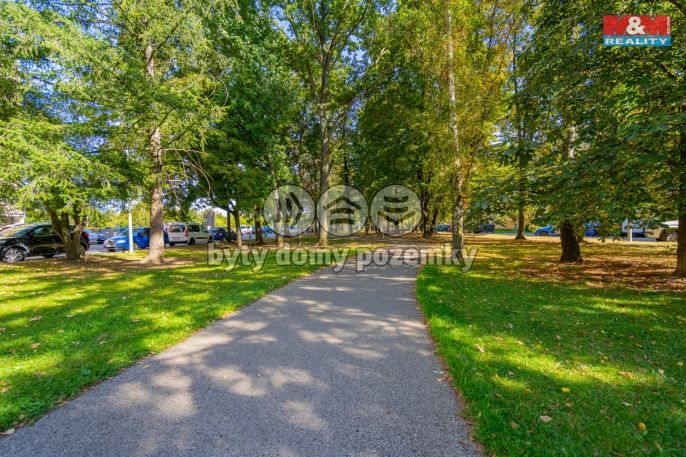 Prodej, Byt 3+1, České Budějovice