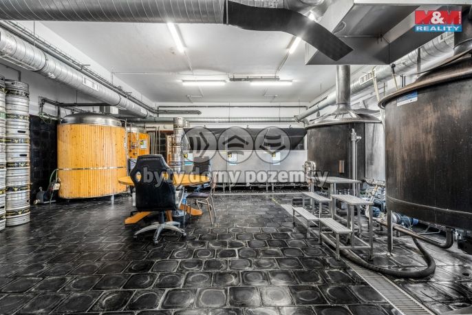 Prodej, Obchodní objekt, Kraslice