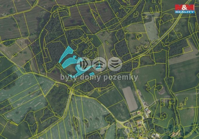 Prodej, Les, Petrovice