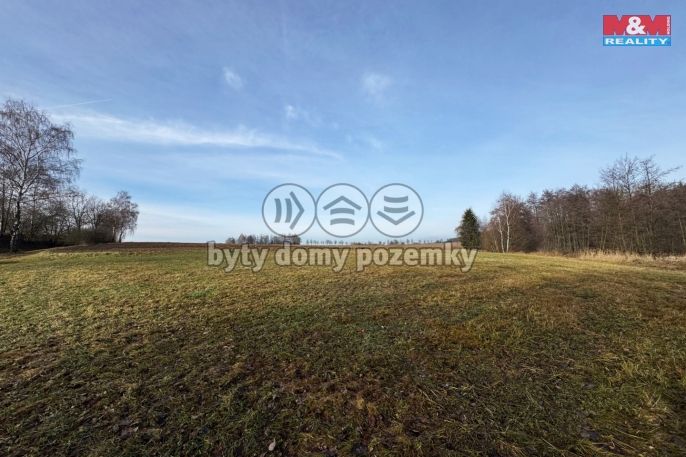 Prodej, Vodní plocha, Velká Losenice