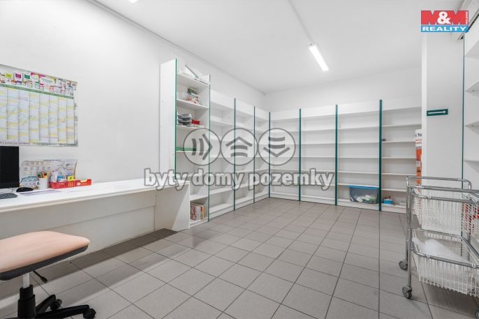 Pronájem, Ostatní, Ústí nad Labem